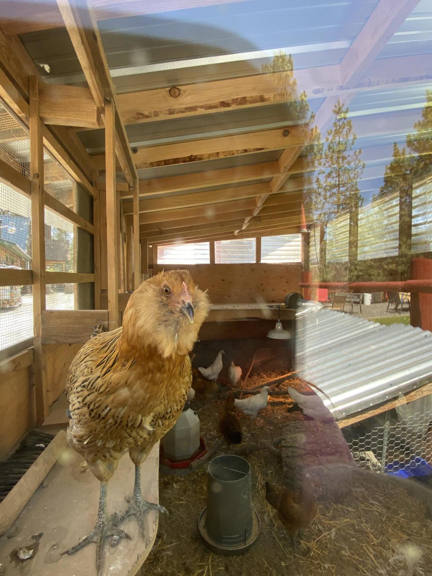 Columbia Point Resort Kettle Falls エクステリア 写真