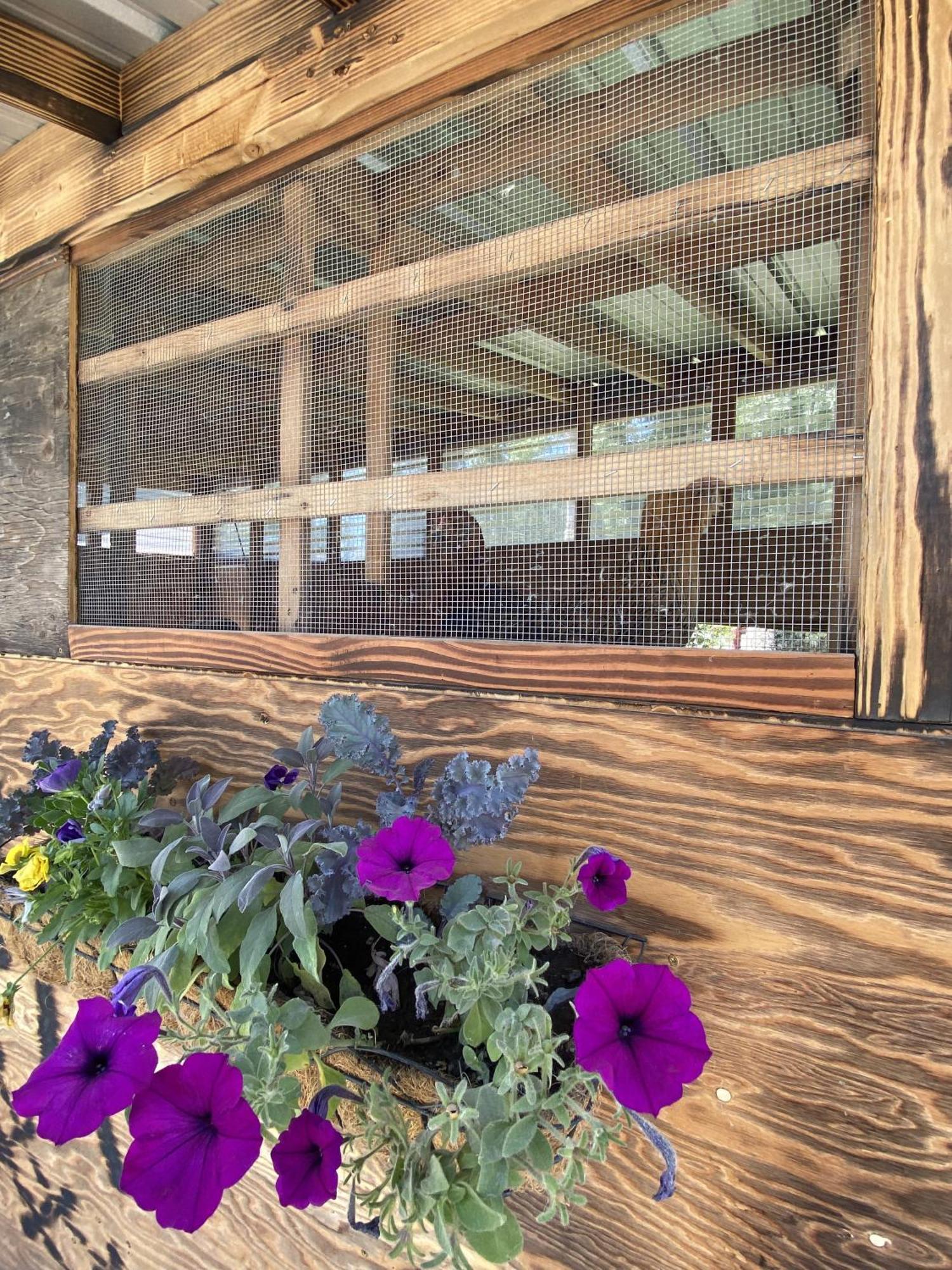 Columbia Point Resort Kettle Falls エクステリア 写真